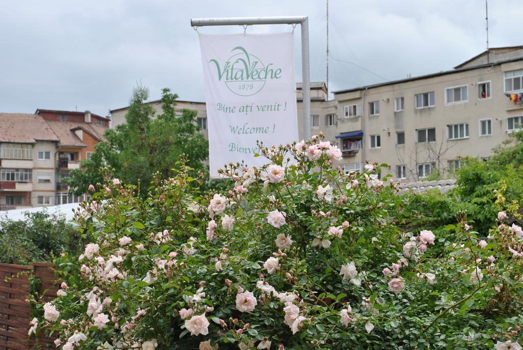 Vila Veche Haţeg Eksteriør billede